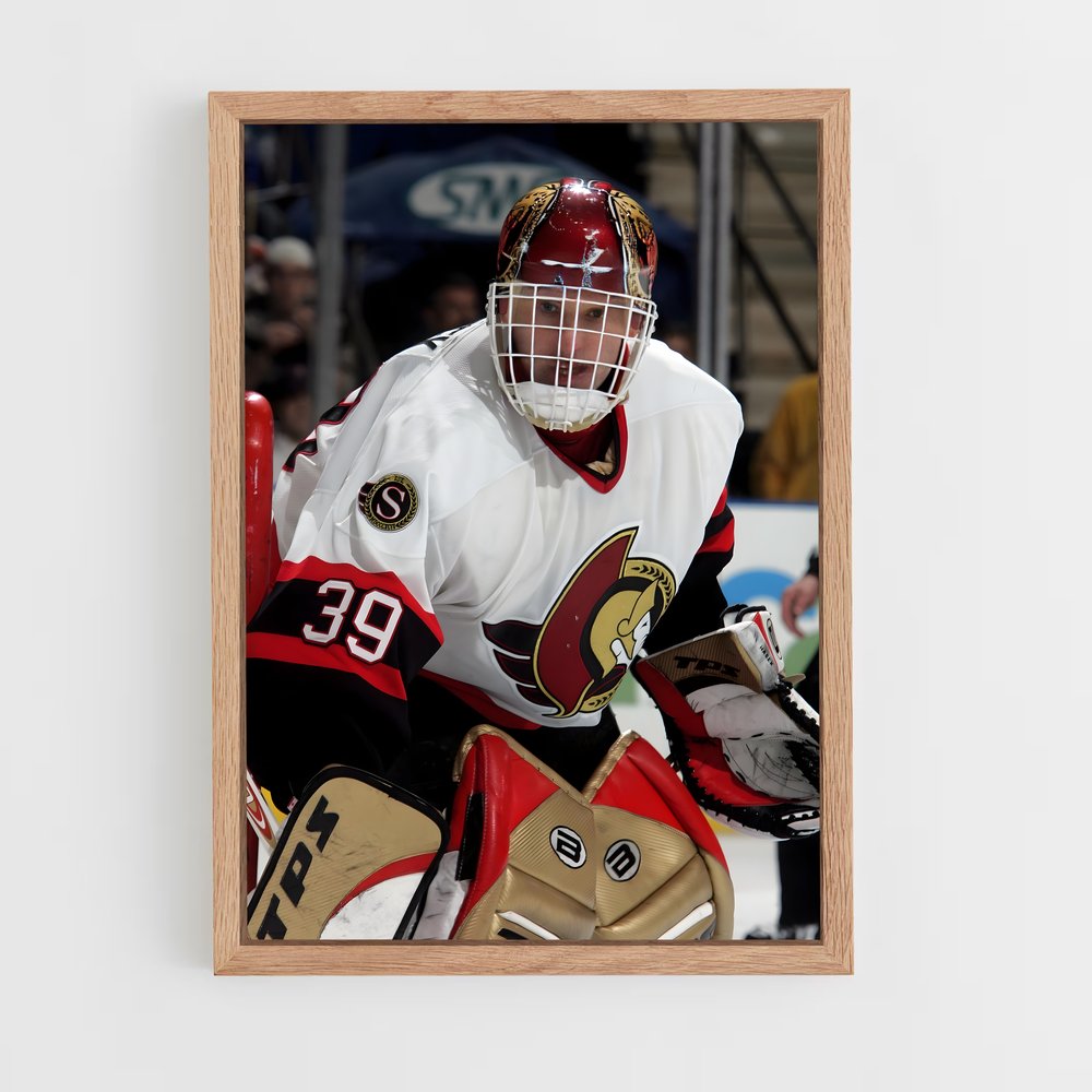Poster Dominik de hasek – affiche Hockey sur glace (vue 4)